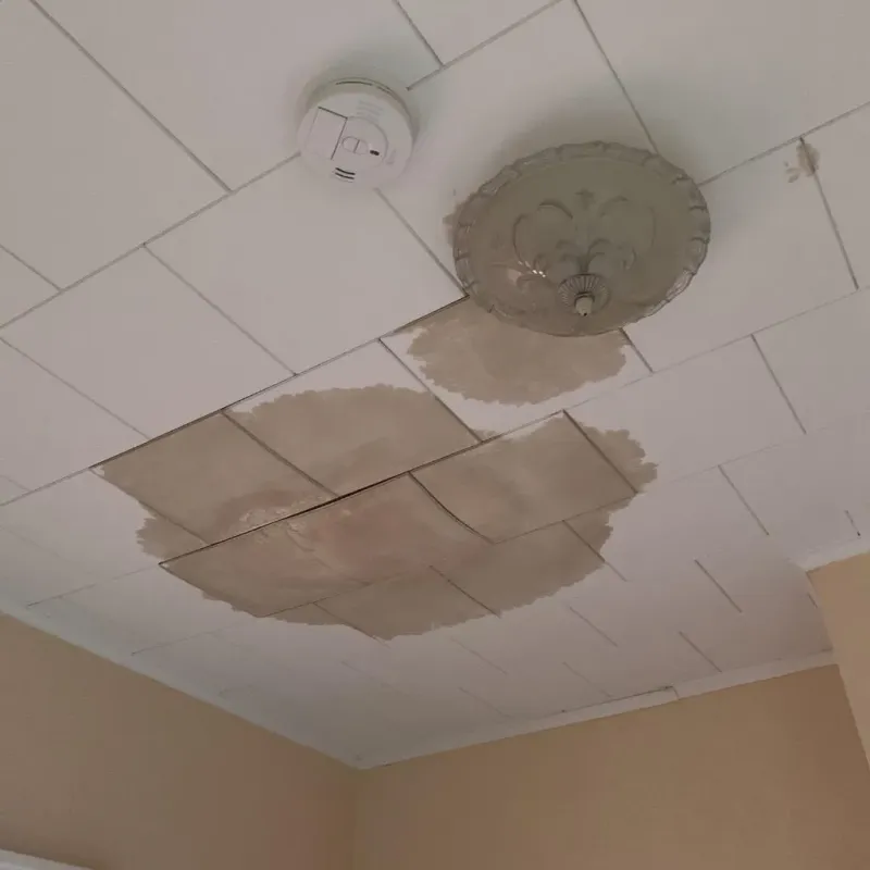 Ceiling Water Damage Repair in Escambia County, FL