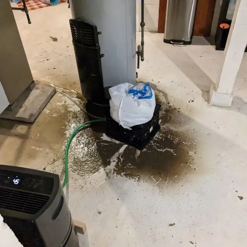 Sewage Backup Cleanup Service in Escambia County, FL